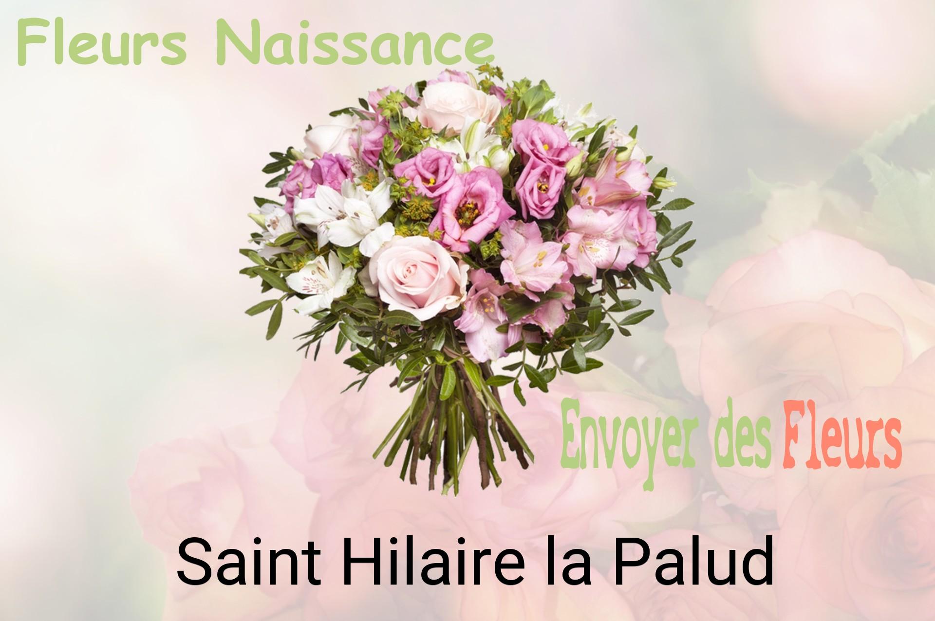 Bouquet de fleurs de naissance livré à Saint-Hilaire-la-Palud